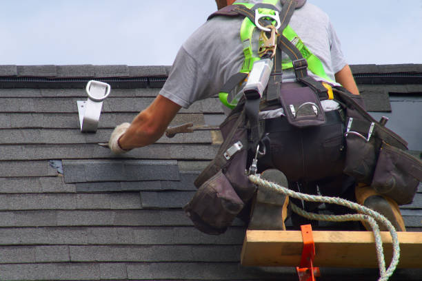 Best Green or Eco-Friendly Roofing Solutions  in Morrice, MI