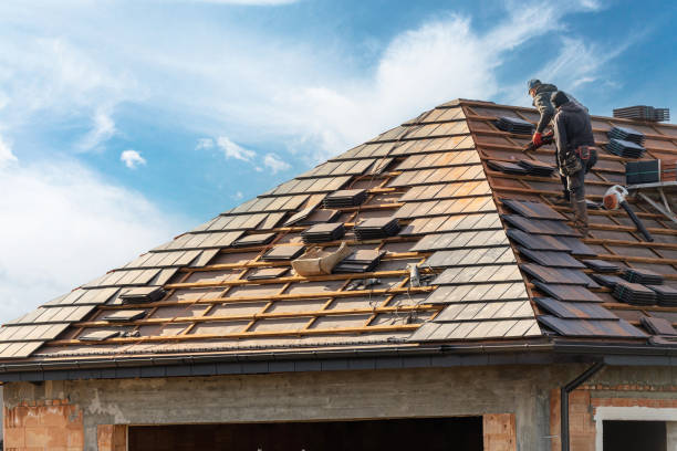 Best Roof Restoration  in Morrice, MI
