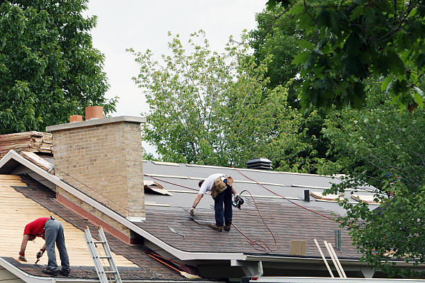Best Cold Roofs  in Morrice, MI
