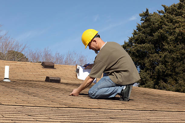 Best Slate Roofing  in Morrice, MI