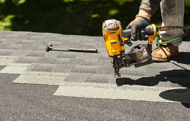 Best Roof Installation  in Morrice, MI