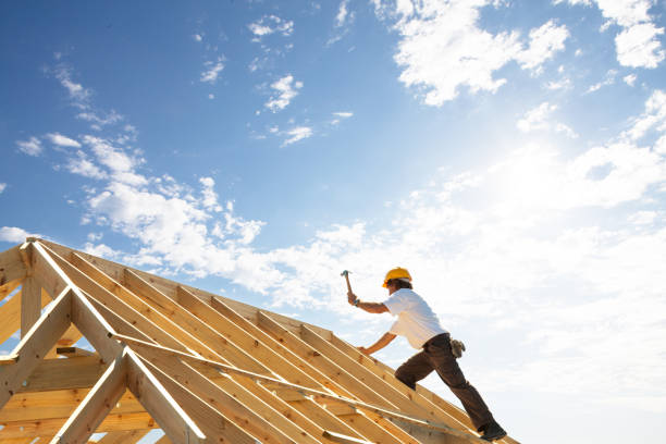 Best Skylight Installation and Repair  in Morrice, MI