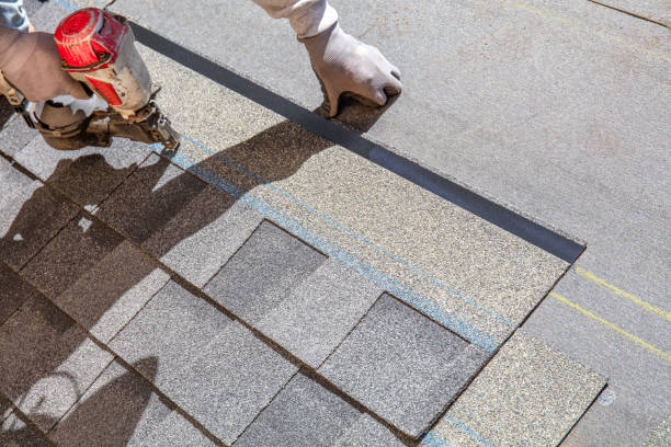 Best Rubber Roofing (EPDM, TPO)  in Morrice, MI